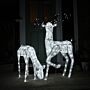 Large Light Up Stag & Doe Reindeer Set