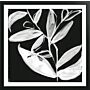 Quirky White Leaves I By Jennifer Goldberger