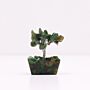 Mini Gemstone Tree On Orgonite Base - Green Aventurine (15 Stones)