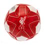 Liverpool Fc 4 Inch Soft Ball