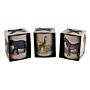 Set Of 3 Tropical Safari Candlepots