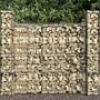 Vidaxl Gabion Wall With Cover Galvanised Steel 600x50x200 Cm