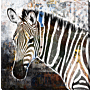 Pop Art Wildlife Canvas [zebra] - Wrapped Canvas