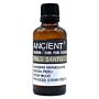 Palo Santo Essential Oil 50ml