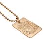 Liverpool Fc Gold Plated Dog Tag & Chain