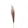 Taupe Faux Pampas Grass Stem