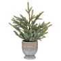 Garda Pine Tree In Stone Pot