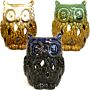 Classic Rustic Oil Burner - Owl - Assorted