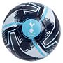 Tottenham Hotspur Fc Turbine Football