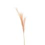 Faux Pampas Grass Stem