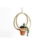 Faux Succulent In Bamboo Hanger