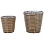 Set Of 2 Plant Baskets Brown Pe Rattan Planter Pots With Lining Use