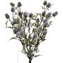 Eryngium Blue Thistle