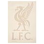 Liverpool Fc Liverbird A4 Car Decal