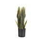 Artificial Potted Snake Plant Green And Black Synthetic Material 40 Cm