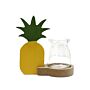 Hydroponic Home Decor - Pineapple Pot