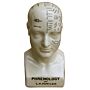 Medium Ceramic Phrenology Head, 25cm