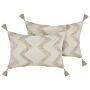 Decorative Cushion Beige Cotton 40 X 60 Cm With Tassels Boho Chevron Pattern