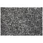 Area Rug Black And White Polyester Cotton Backing 200 X 300 Cm Decorative Floor Mat