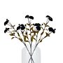 Black Chrysanthemum Stem