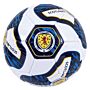 Scottish Fa Tracer Football