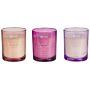 Set Of 3 Scented Candles Multicolour 100% Soy Wax Cotton Wick Glass Floral Fragrance Lavender/rosemary Lavender/geranium Lavender