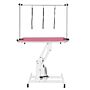 White Hydraulic Grooming Table - Pink Table Top