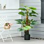 Homcom Artificial Tree, Tropical Palm Tree, Fake Decorative Plant In Nursery Pot For Décor, 135cm