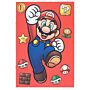 Super Mario Essential Notebook