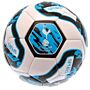 Tottenham Hotspur Fc Tracer Football