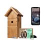 Wifi Bird Box Camera Deluxe Bundle