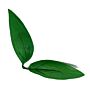 Tall Craft Flower Leaf Decor Approx 60 Pieces (65g)