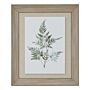 Watercolour Bracken Fern In Washed Wood Frame