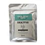 Healing Incense Powder - Eucalyptus 50gm