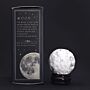 White Howlite Planet On A Sola Goldstone Stand (moon)