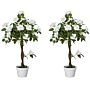 Outsunny Set Of 2 Artificial Plants White Rose Floral In Pot, Fake Plants For Home Decor, 90cm