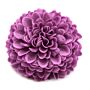 Craft Soap Flower - Small Chrysanthemum - Purple - Pack Of 10