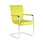 Una Pu Arm Chairs Chrome & Green (2s)