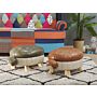 Kids Animal Stool Green Faux Leather Footstool Wooden Legs Children's Room Seat