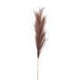 Taupe Large Faux Pampas Grass Stem