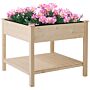 Outsunny Wooden Planter Elevated Garden Planting Bed Stand Outdoor Flower Box W/ Storage Shelf