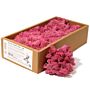 Decoration Reindeer Moss - Pink - (approx 500gm)