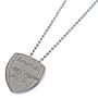 Arsenal Fc Stainless Steel Large Pendant & Chain