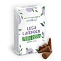 Plant Based Incense Cones - Lush Lavender