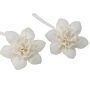 Natural Diffuser Flowers - Lrg Lily On String - Pack Of 12