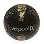 Liverpool Fc Sig Gold Phantom Skill Ball