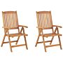 Set Of 2 Garden Chairs Light Acacia Wood Folding Feature Uv Resistant