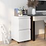 Vinsetto 2-drawer Mobile Filing Cabinet On Wheels, Steel Lockable File Cabinet With Adjustable Hanging Bar For Letter, A4 And Legal Size, White