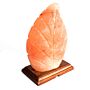 Shape Salt Lamp - Fern