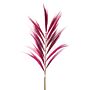 Dried Rayung Grass Pink- 1.6m